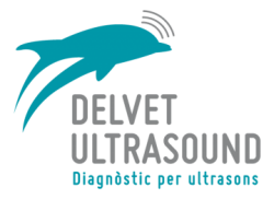Delvetultrasound Logo